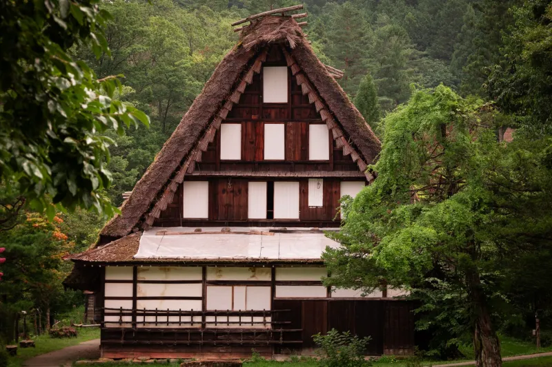 The House That Healed Us: One American Woman's Journey Through an Akiya Restoration