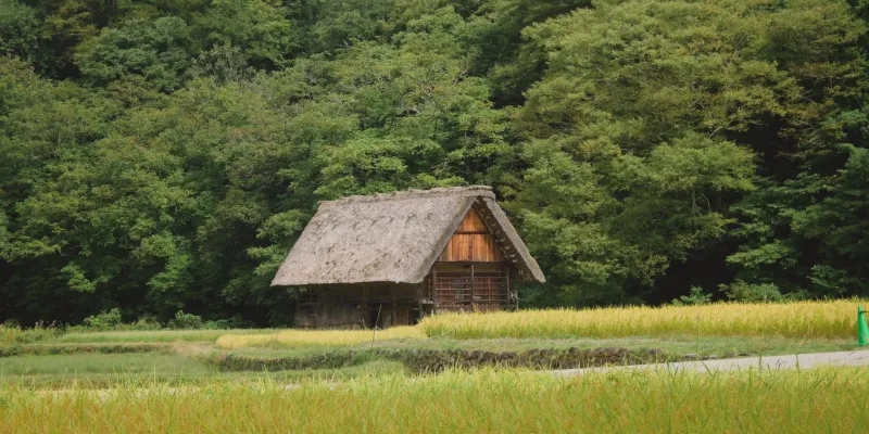 Patience as Strategy: How American Investors in Rural Japan Are Watching Forgotten Properties Quietly Gain Ground