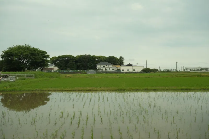 The Closing Window: Why Delayed Decisions on Japanese Abandoned Properties Are Becoming Increasingly Costly