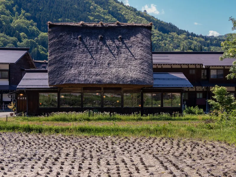 A Swab and a Surname: How Genetic Testing Is Opening Doors to Ancestral Property in Rural Japan