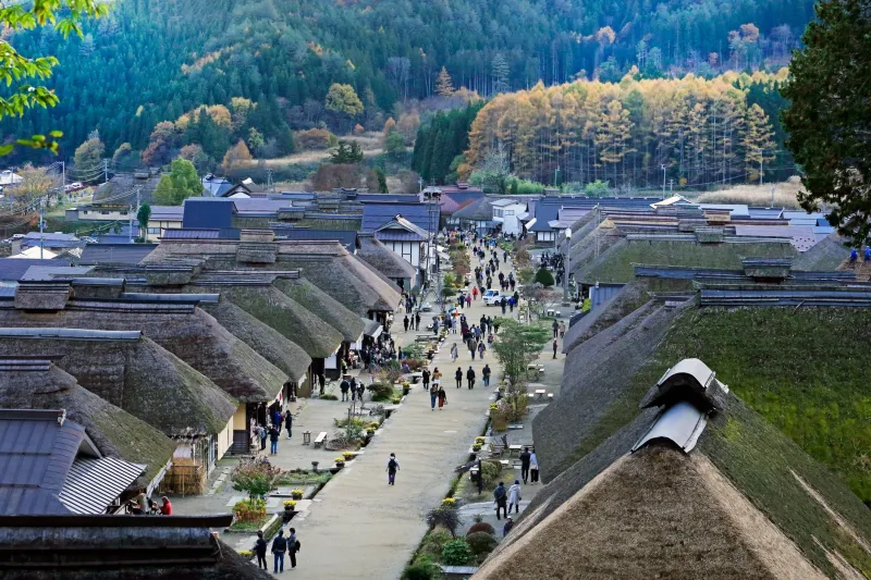 Reading the Signals: How to Assess a Village's Future Before Committing to Its Past