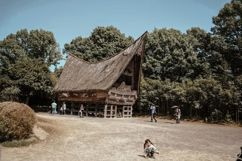 Villages That Refused to Disappear: A Field Guide to Japan's Most Promising Rural Revivals