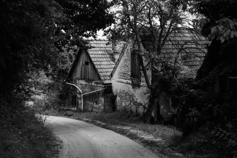 What Empty Houses Tell Us: Akiya, Rural Decline, and the Art of Remembering a Place
